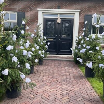 feeestboompjes versierd